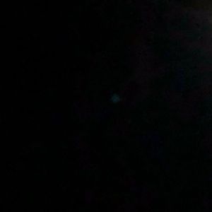 Meet your Posher, Isaiah